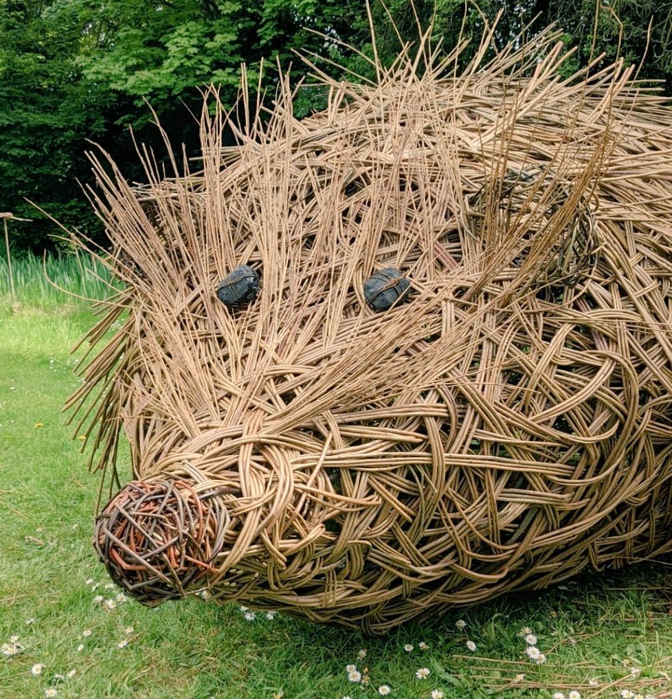 womensart1's tweet photo. Hedgehog by willow weaving artist Deb Hart for Herts &amp; Middlesex Wildlife trust, UK #Womensart https://t.co/jT6xM2O99R