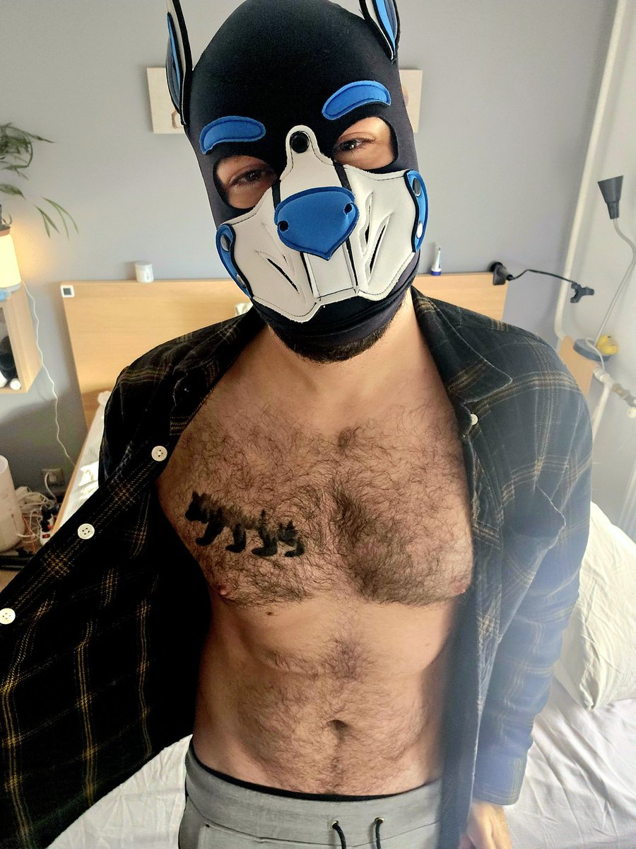 PupCerbie's tweet photo. It's one of those mornings, when pup does not wanna put clothes on.
----
#gaypup #gay #gaypuppy #humanpup #pupplay #puppyplay #humanpuppy #gaypuppyplay #gayboy #gaypupplay #musclepup #pupplaycommunity #humanpupplay #mrsleather #puphood #puppypride  #puppyfetish https://t.co/vWt5mdbqdj