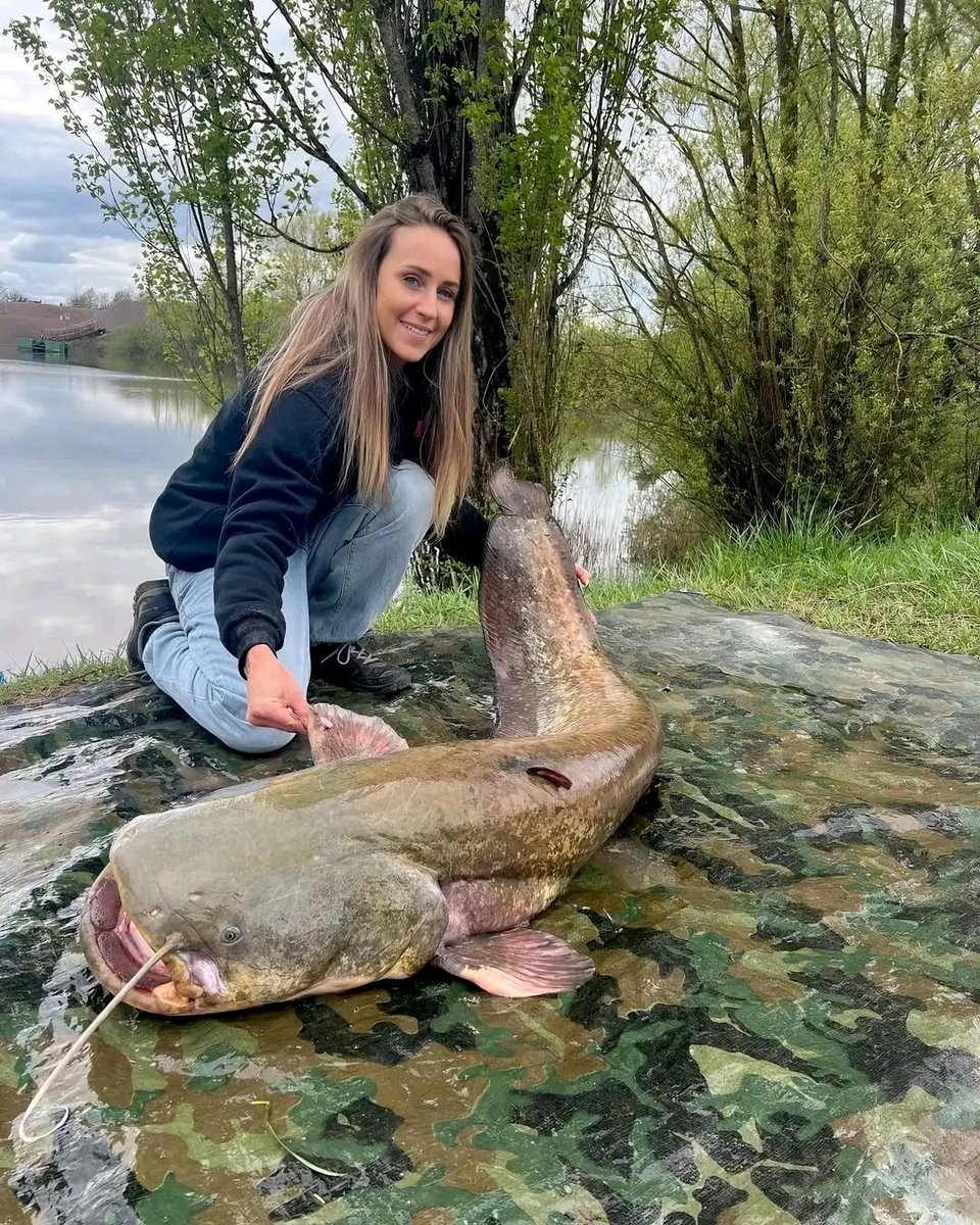 🎣🦾 We met him at the shore—me with my fishing rod, him with years of experience ignoring bait. Today, his strategy failed.
180cm catfish great catch.
#fishing #FishingGirl #FishingGirls #fishinglife #fishingtrip