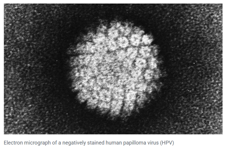 Cervical cancer vaccine push has saved 1.4 million lives. Viruses exist and vaccines save lives.