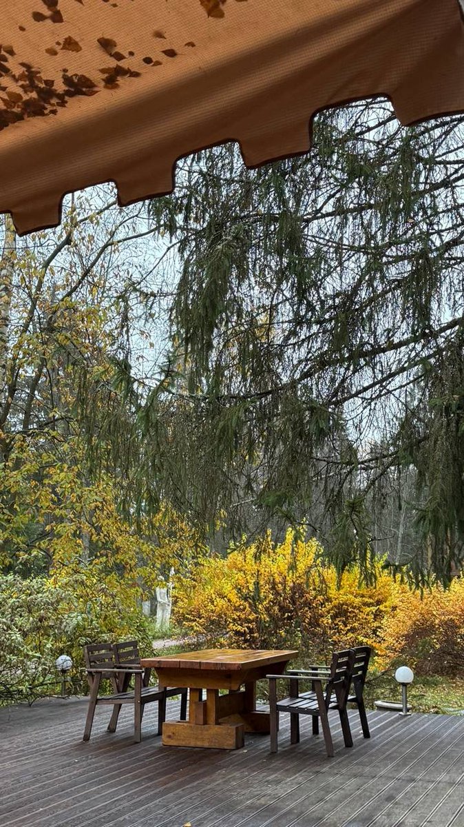 GaynellT27797's tweet image. I visited my friend&apos;s farm over the weekend🦌🤍 #weekend