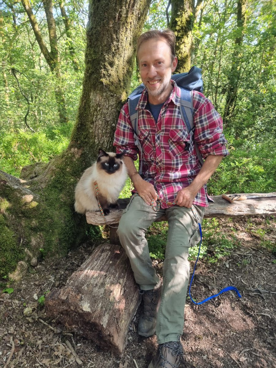 chrischalkart's tweet image. Intrepid travellers.  chrischalkart.com/painting_blog/… #ragdoll #cats