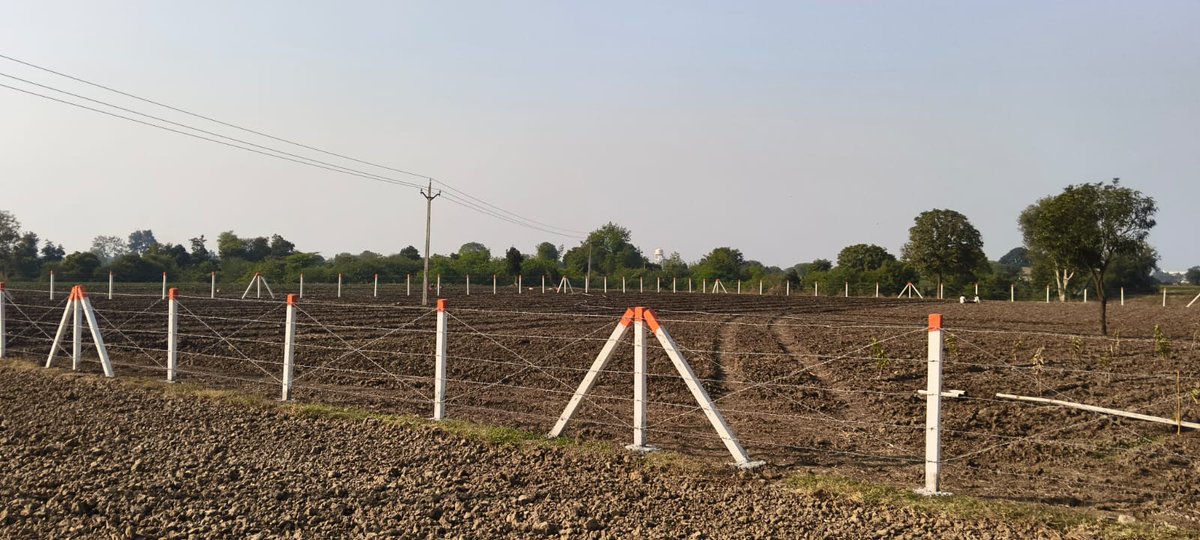 जिले में #एक_बगिया_माँ_के_नाम"परियोजना अंतर्गत स्वसहायता समूह की महिलाओं द्वारा खेत में बगिया का निर्माण किया जा रहा है।परियोजना अंतर्गत जनपद पंचायत #dewas के ग्राम पंचायत साबुखेड़ी के ग्राम साबुखेड़ी व होशियारी की महिलाओं ने अपने खेत पर अमरूद के पौधे लगाए व उनकी देखभाल की जा रही