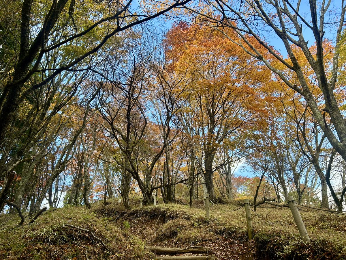 celsuper2's tweet image. 昨日は鍋焼きうどんを食べる為、8年ぶりに鍋割山に登りました。