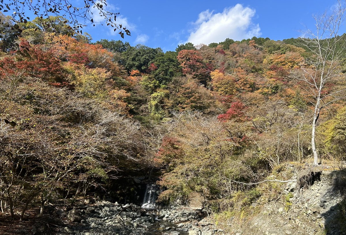 celsuper2's tweet image. 昨日は鍋焼きうどんを食べる為、8年ぶりに鍋割山に登りました。