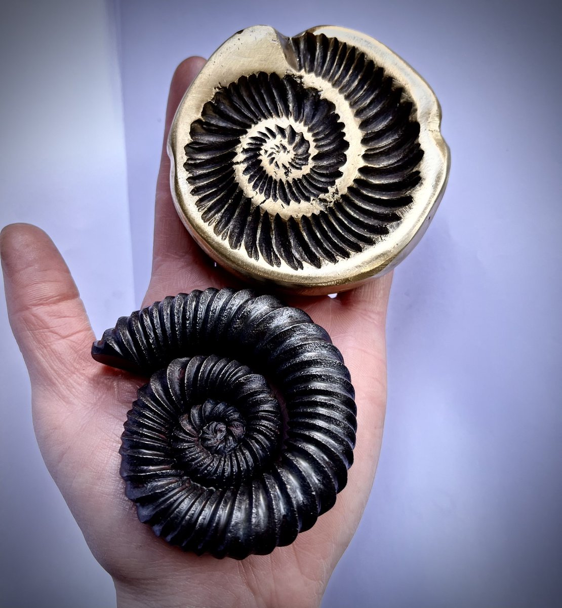 Ammonites Available!

The last Ammonites I will be making before Christmas! 

I will be making more next year… 

But if you are looking for a bespoke gift this year, these handmade, individually forged, Steel Ammonite Fossils are so tactile!

Check out my website shop!