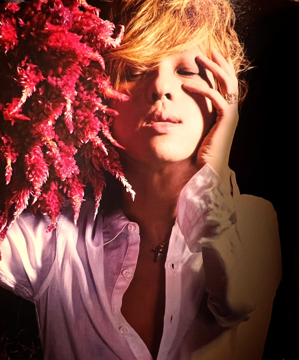 YUMI(ФωФ)/ (@likeaanjel1) / Posts / X