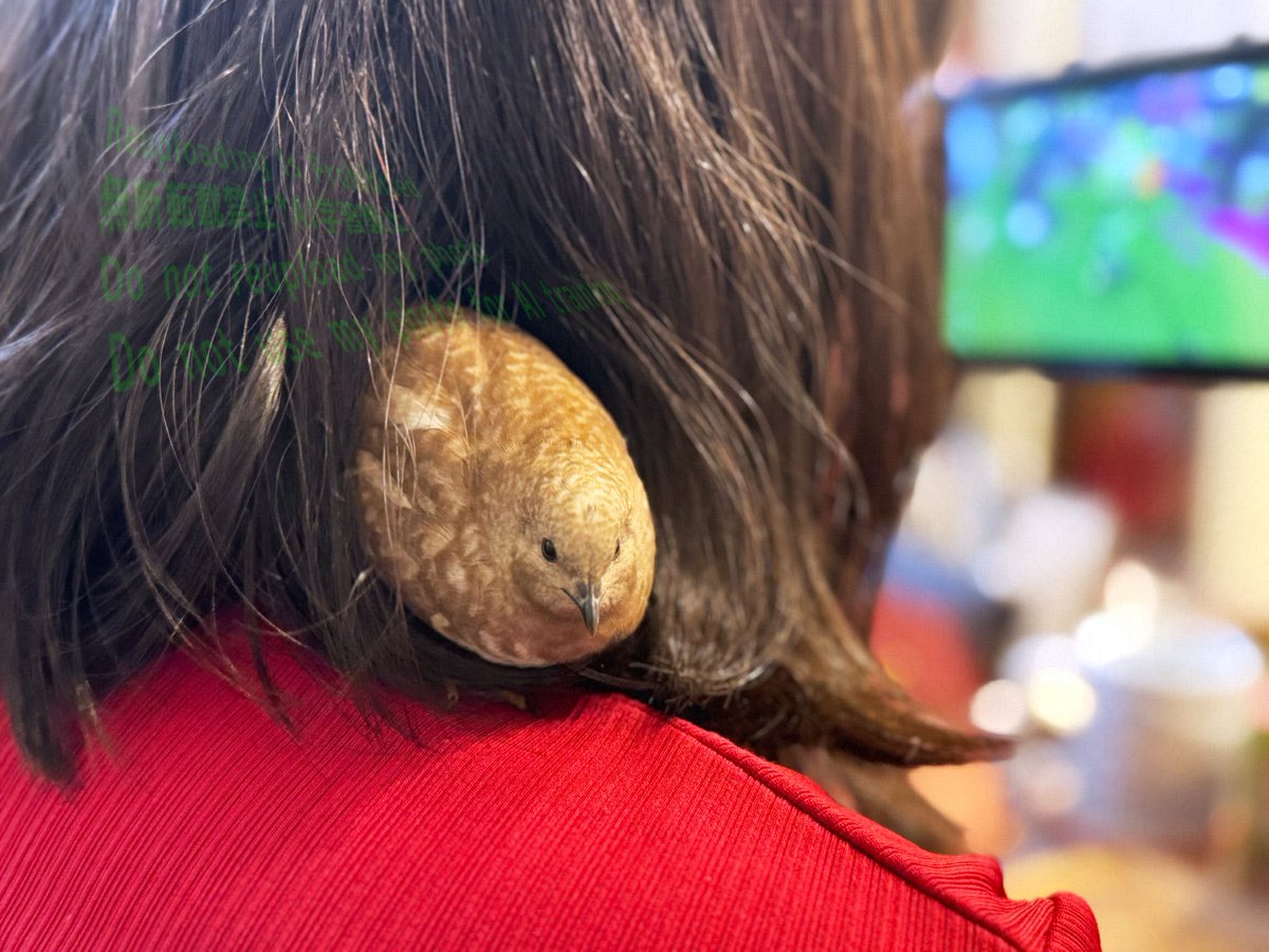 この差し込み、もしかしてニンゲンをでかいウズラだと思ってる…？