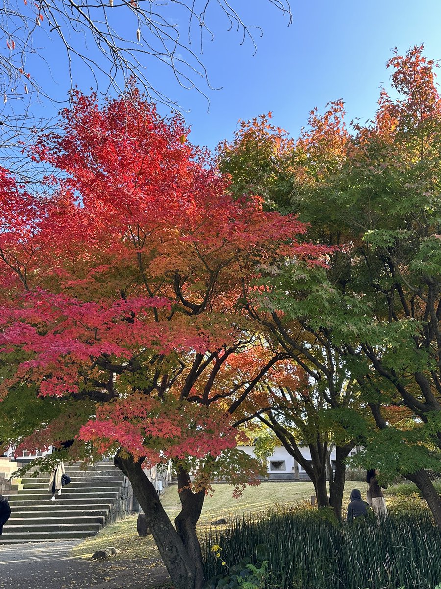bz7ab's tweet photo. めっちゃ綺麗 https://t.co/zgVMLMlhpX