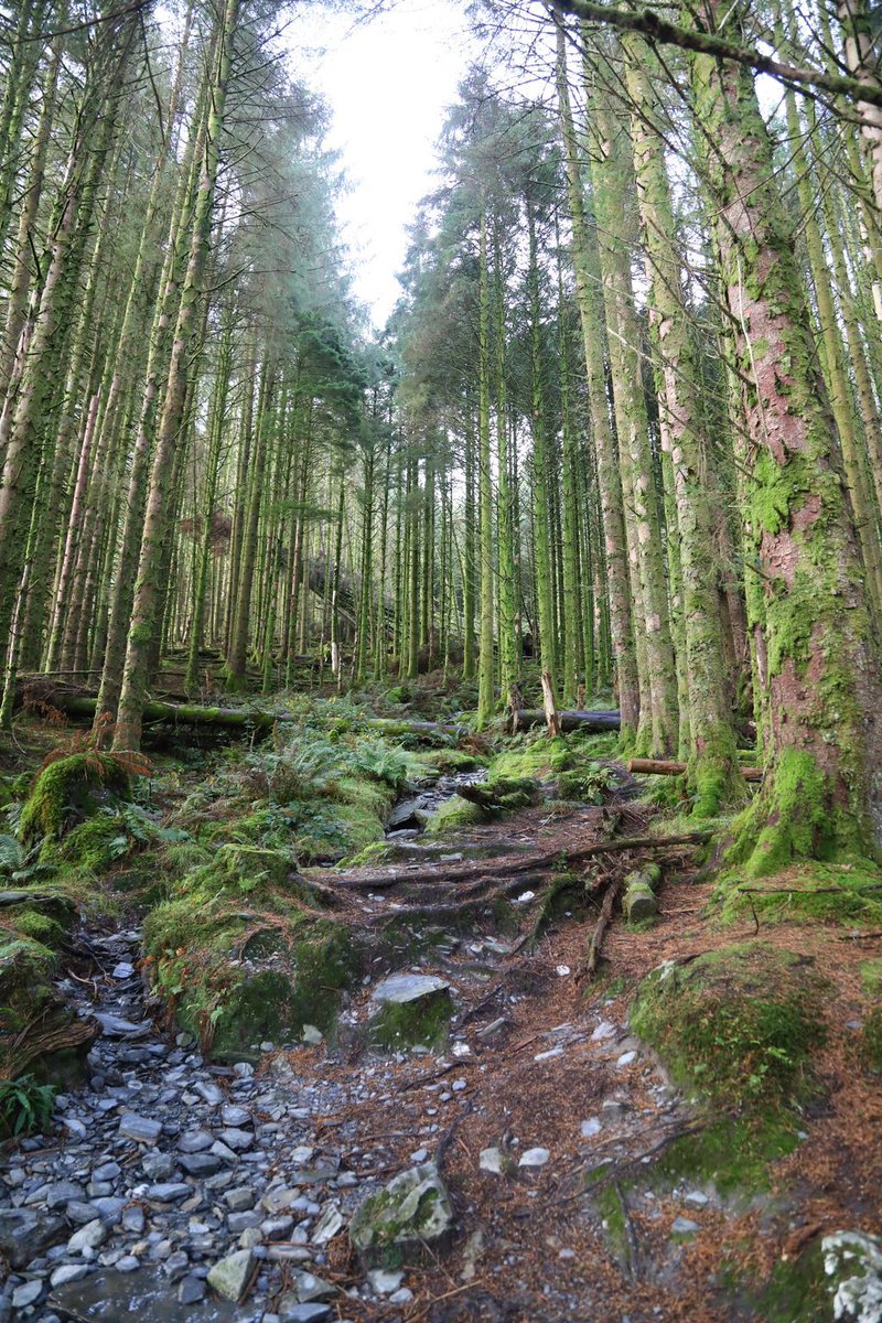A gorgeous shot of the route up to Rhiwbach! 🖤 💛