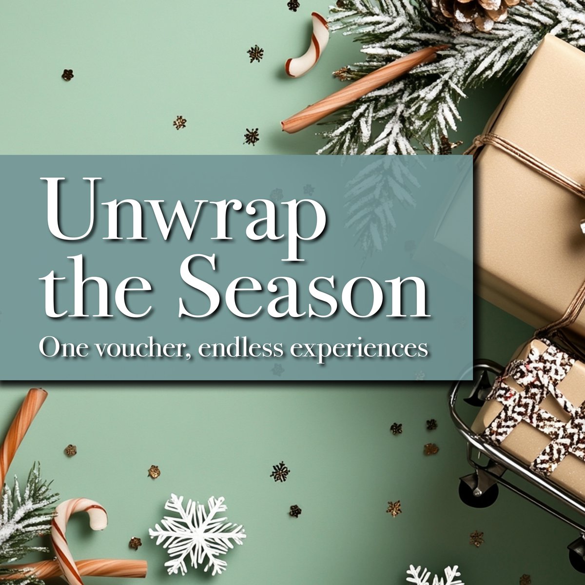 WatersmeetVenue's tweet image. 🎁✨ Unwrap the Season at Watersmeet!

🎟️ Treat someone special this holiday: orlo.uk/boCNr

#GiftTheSeason #Watersmeet #LiveEntertainment #PantoSeason #TheatreMagic #MusicLovers #FamilyFun #UnforgettableExperiences