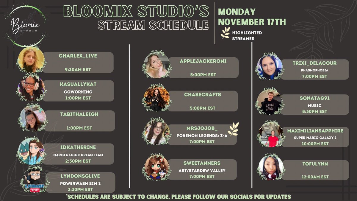 Check out our lineup of streamers going Live ~*• November -17th•*~  on their channels 🌿