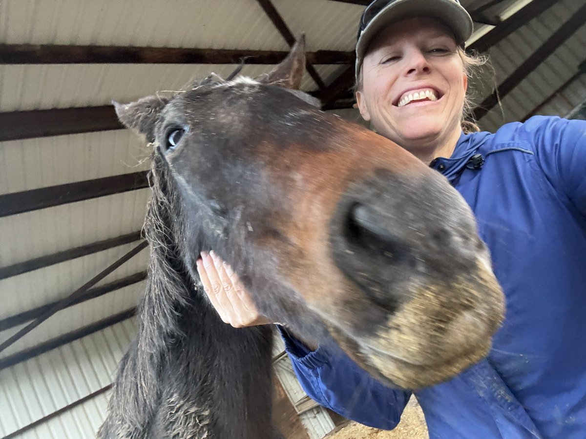 GloriousAllianc's tweet image. Our gorgeous Pixie is loving the rain, rolling and the fresh grass! #heavymetalmare