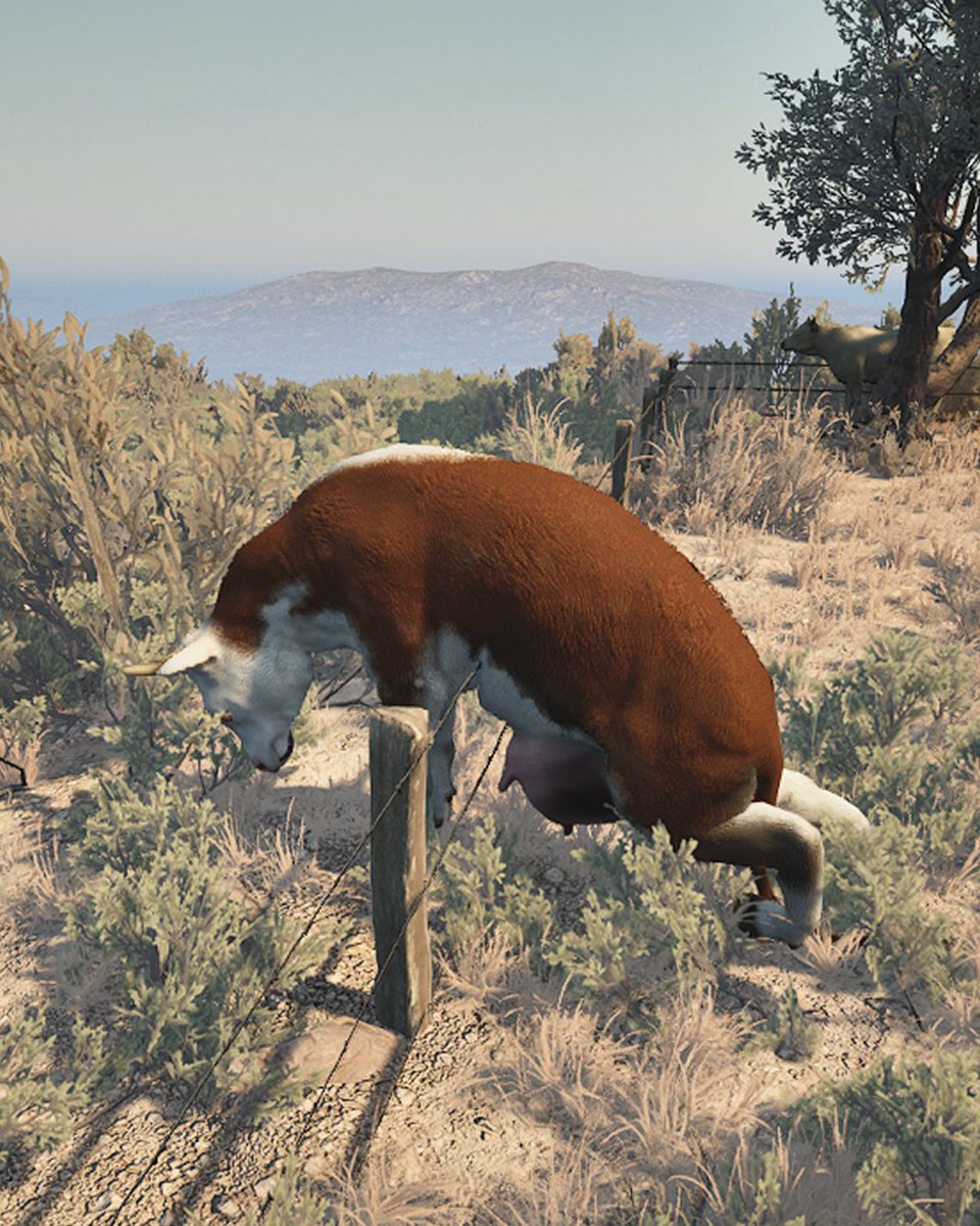 DBHGame's tweet image. One of those Mondays… Cow you relate? 🐄

Credits: Mareco_loco (Discord)