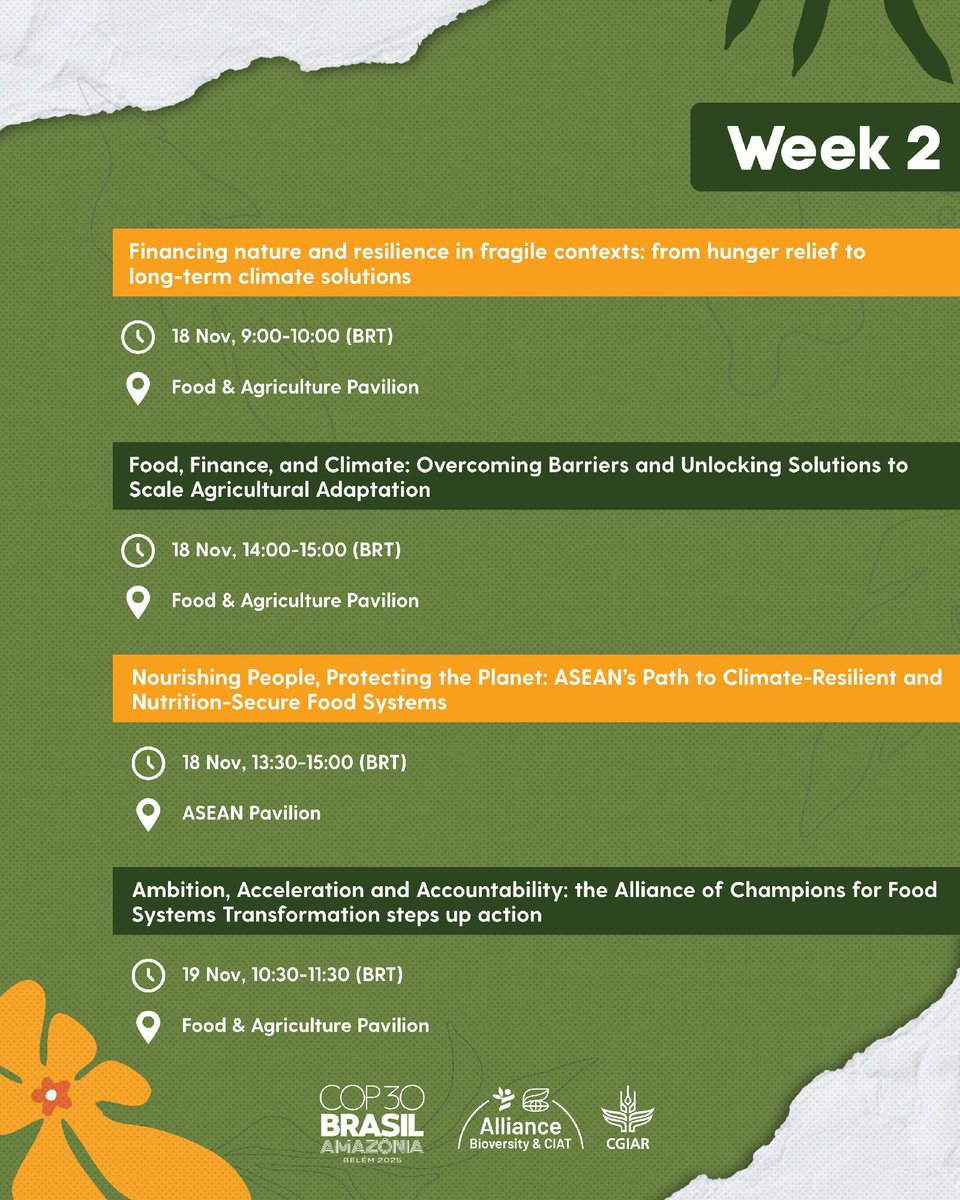 BiovIntCIAT_eng's tweet image. 🌎🌸 Week 2 at #COP30 in Belém—and the action continues with new side events turning science into solutions.
👉 Discover more: allbiociat.org/4oPSrL5