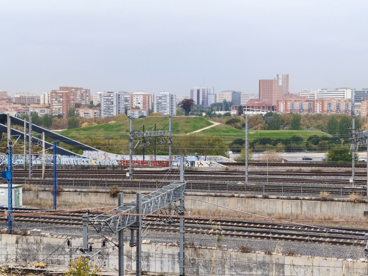 introvertido420's tweet image. 