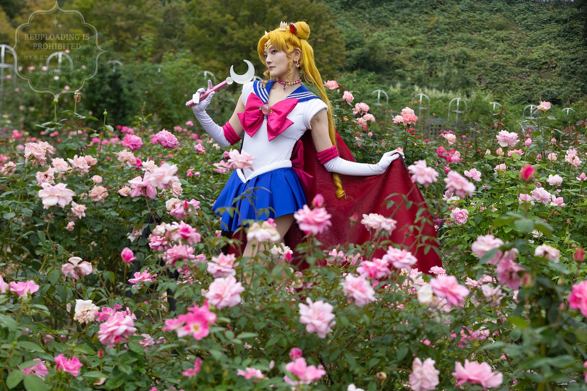 うさこ@冬ｺﾐ火曜南2_h37b (@princessusako) / Posts / X