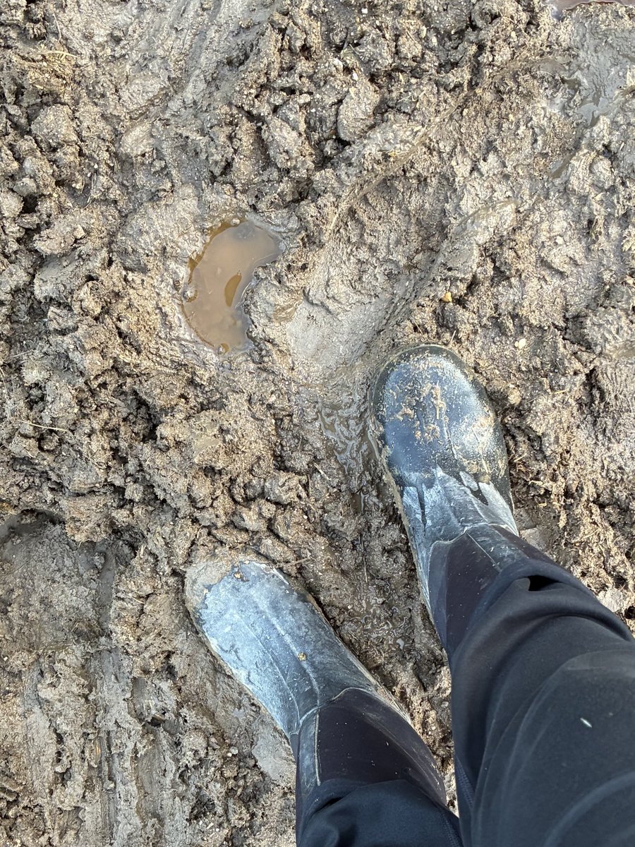 GloriousAllianc's tweet image. K thanks ⁦@gyancita⁩ big time for these incredible mud boots! They provide full water protection and extra tread! This mud is slippery!