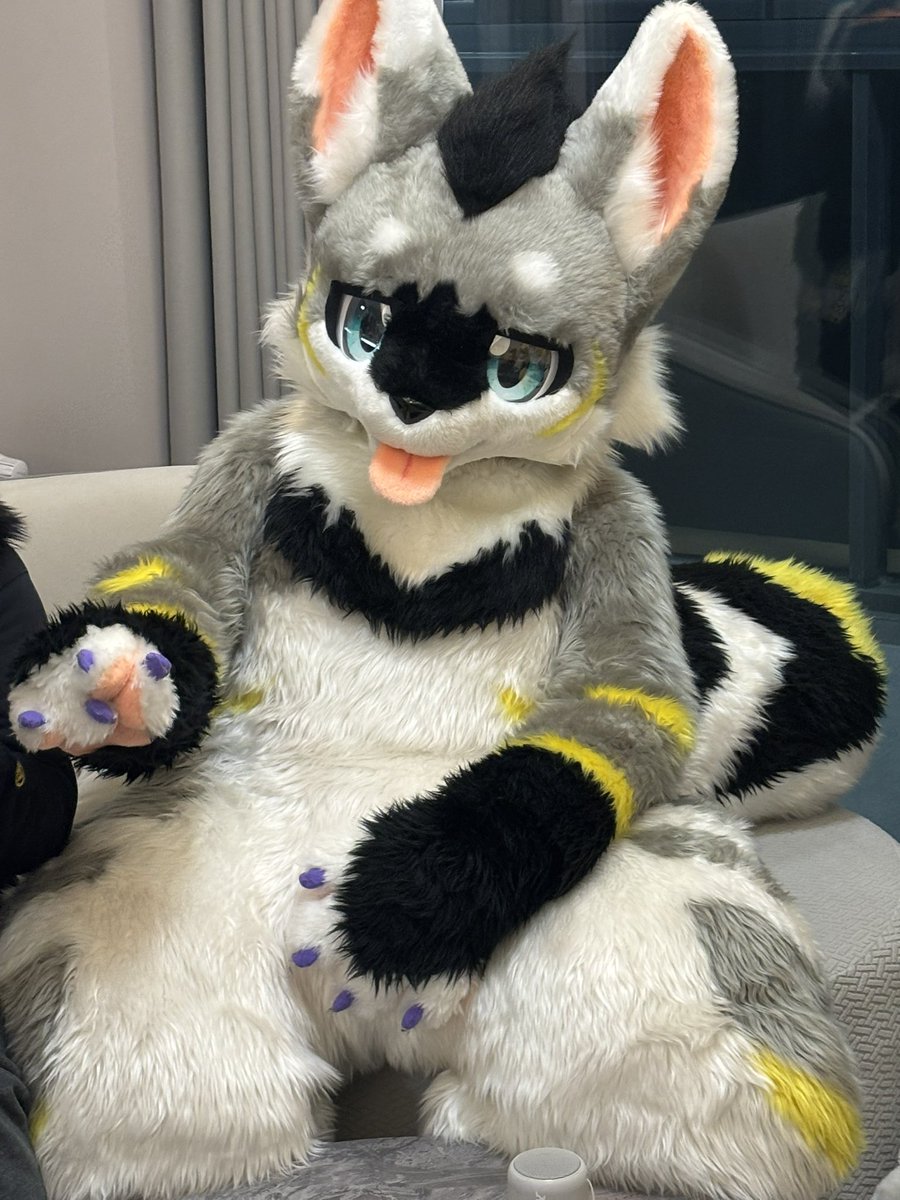 なにも考えてなさそう
#FursuitEveryday
