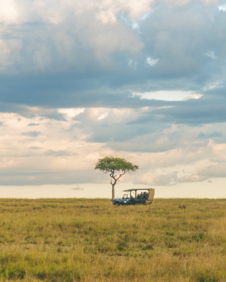 Mara Intrepids Camp tweet media