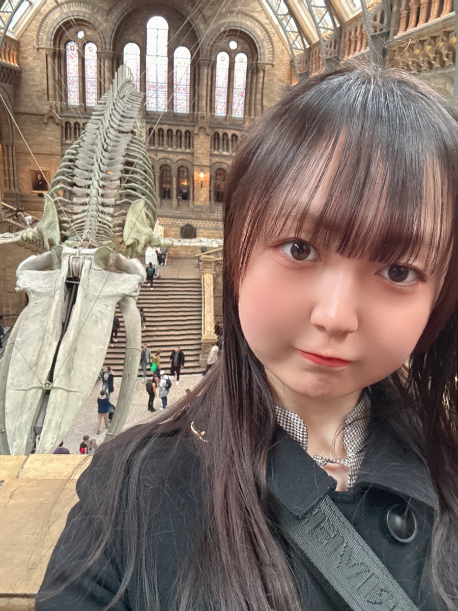 Post by あおちゃん🐹💣 on X: 日本帰ってきたよ