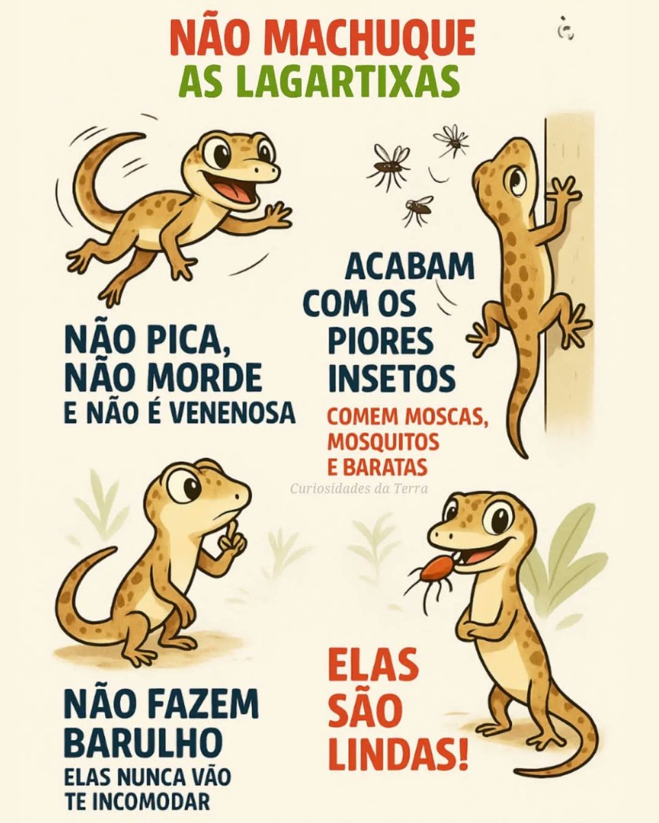 Viviifernande's tweet image. As lagartixas são nossas aliadas! Não matem elas!