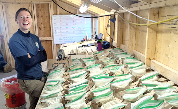 AstonBayCuAu's tweet image. Aston Bay  and @AmericanWest_  identified a New &amp;gt;4-km #CU Anomaly at the #StormProject

Regional soil sampling reveals a large, untested copper anomaly parallel to the main Storm trend. Significant expansion potential!
astonbayholdings.com/news/new-4-kil…