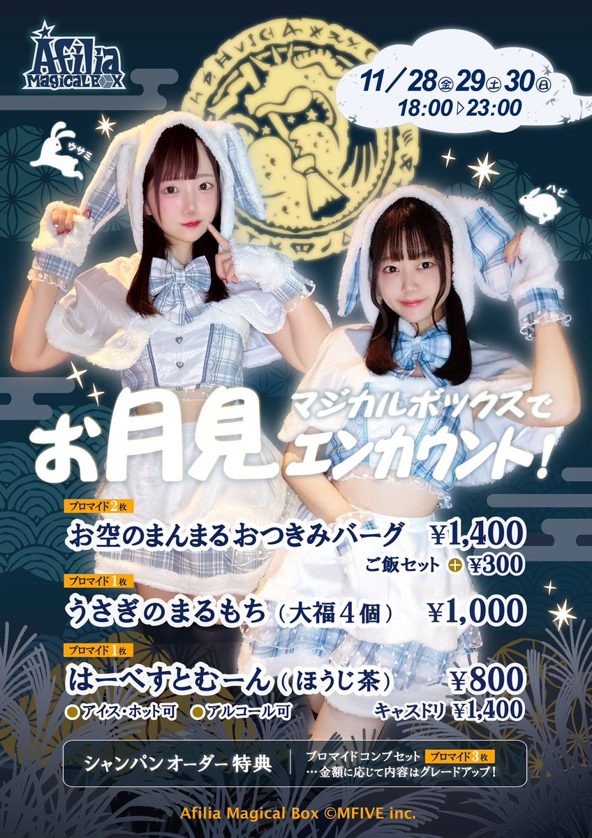 珍しく2日間も参加します…！！28と30！その分、ナノって色んなうさ