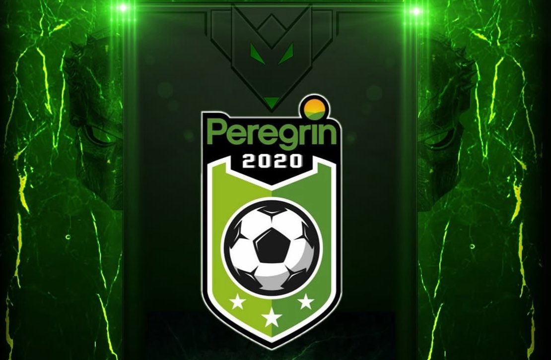 PRGRN_eSports's tweet image. 🔎BUSCAMOS JUGADORES🔍

📍DFC y DC

🤩¿Quieres unirte a esta familia? Mándanos un MD

@_chocolate3000 

#VamosPeregrin💚
