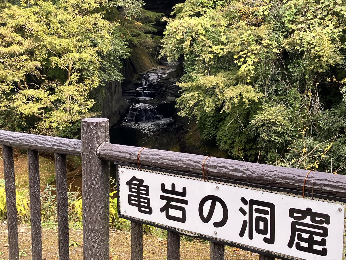 pumpkin_meatpie's tweet photo. 昨日は千葉の下の方行って色々回ってきた！ https://t.co/uyoUAgDTNN
