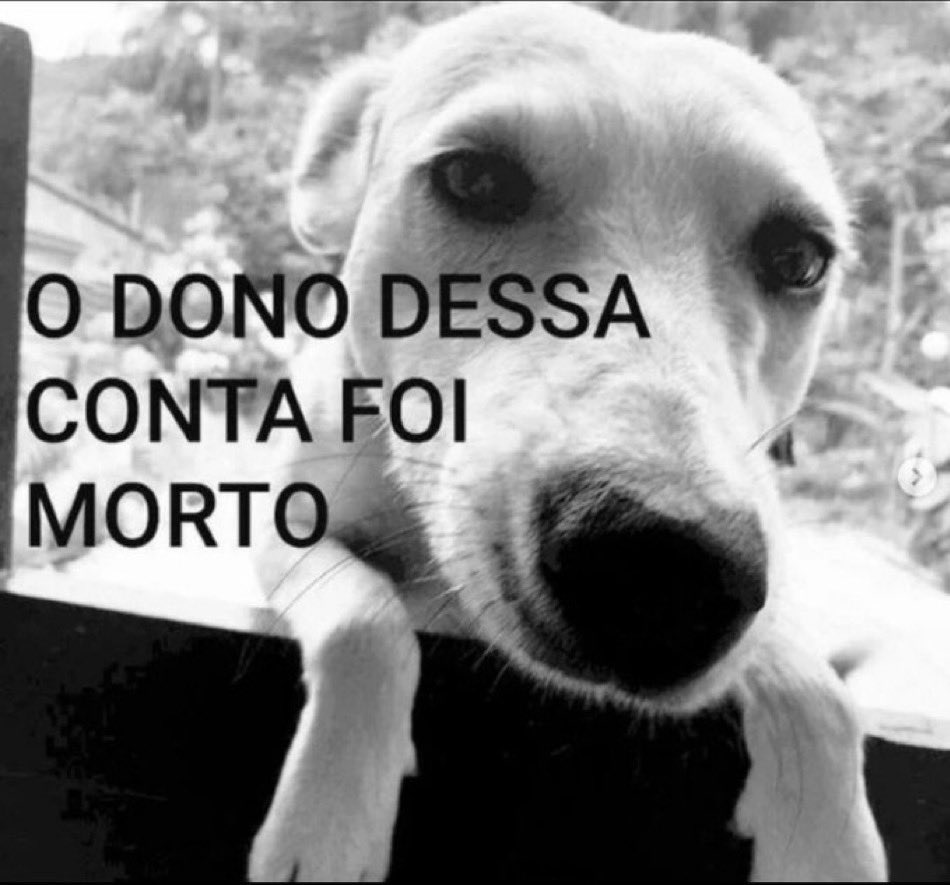 withoutalover's tweet photo. aparentemente alguem nao tava tao vivo quanto parece https://t.co/42aT4fLl9P
