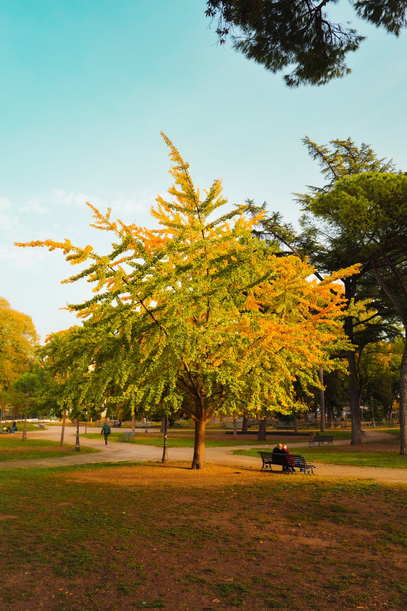 autunno a villa paganini.