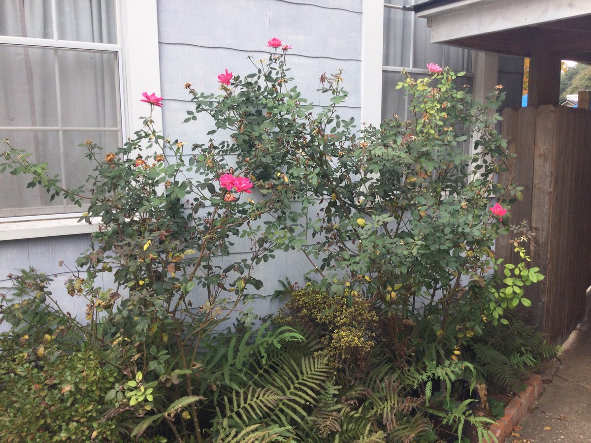 <a href="/AngelaJ32994950/">Angela John</a> <a href="/SLARTZONE/">Stéphane Lefebvre</a> <a href="/tubitubi12345/">こませ</a> <a href="/_Cristian_Vlad_/">Cristian Vlad</a> <a href="/DogNaugty/">The Naughty Dog</a> <a href="/Scorpianking50/">Abobakr  Shawkat</a> <a href="/JuanLukaAnielk/">JuanLukaAniel ✨️</a> <a href="/PenelopeRuzy/">Rock & Tattoo Lady...🎸🎶</a> <a href="/CherrylezamaPaz/">Cherry lezama Paz</a> <a href="/Sharuana/">Shari</a> <a href="/bell_suze/">Suzy Sue ❤❤💕</a> <a href="/kosmomireille/">Kosmo</a> <a href="/LadyPoop2/">Lady Pooh ( Crazy Sewer Rat )</a> <a href="/MadhubalaStefan/">Younger J Malmsteen ;)</a> <a href="/DavanzoEmilia/">Emilia Davanzo</a> <a href="/HotmaiBill/">Bill</a> <a href="/peneloperuzy2/">Rock & Tattoo Lady 🎸</a> <a href="/Jilliemary/">Jillian Peeling</a> <a href="/ozneretjo/">renzo montagni</a> <a href="/TheJForJoM/">((JoannM))</a> <a href="/AilsaForshaw/">Ailsa Forshaw🧢</a> <a href="/Hound26/">Wayne Dimaline</a> <a href="/AlteaFerrari/">ferrari silvia</a> <a href="/JeanetteEliz/">Jeanette</a> <a href="/isabellem480/">Isabelle Marqués</a> <a href="/JELLOtheCat/">JELL-O the Cat</a> <a href="/KoborinX2/">Koborin💖</a> Big smiles!