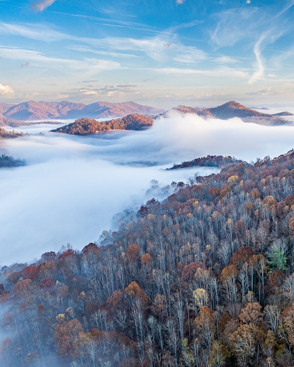 Asheville Pictures tweet media