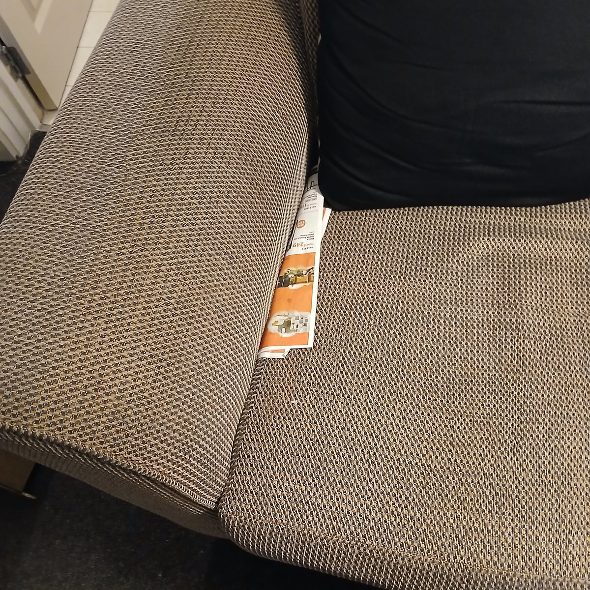 Oh fuck. Oh fuck Oh fuck. A white tail the size of my thumb is either in here or here or here! Mortally afraid and now stuck panicking in the middle of the lounge like a pillock!