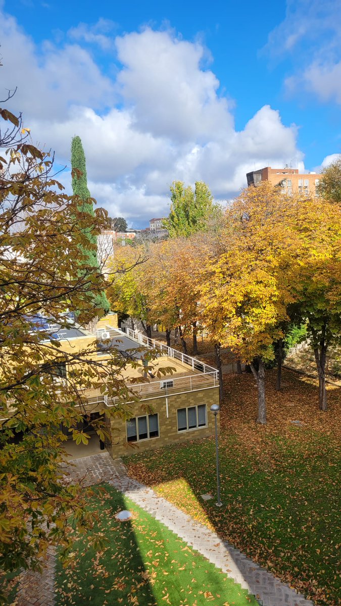 El otoño en el César Carlos.🍂🍃