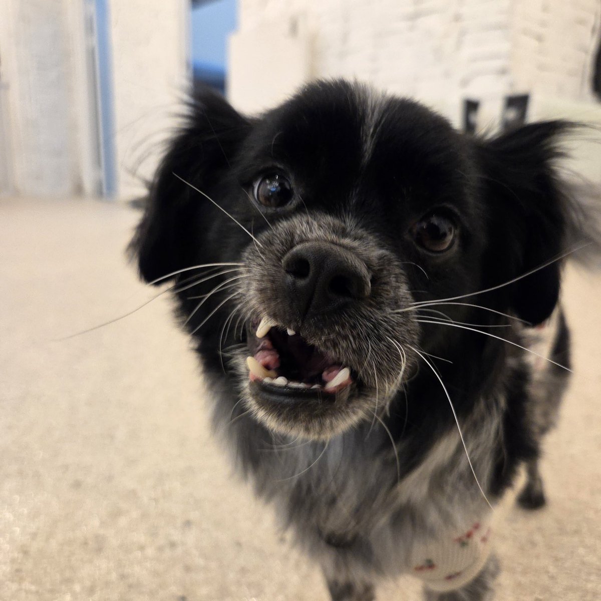 baekdoo5612's tweet image. 그래요 나 어제 목욕했어여.. 
뭐요 .. 뭐!