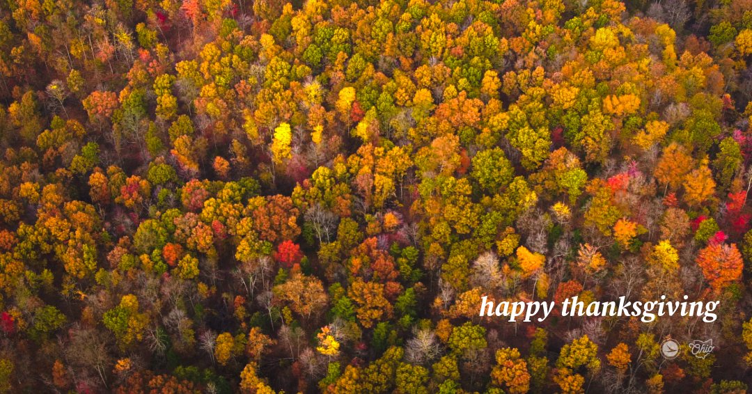 This Thanksgiving, we’re grateful for Ohio’s scenic roads and the vibrant fall colors 🍂 preserved by our friends at <a href="/ODNR/">cristie</a>. Whether you're traveling or taking a stroll, stay safe. Drop the distractions, slow down, and keep your eyes on the road. 

Happy Thanksgiving!