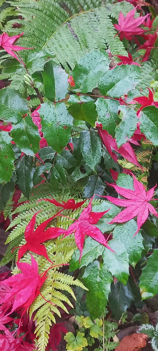 mnvrgrl's tweet photo. #nature https://t.co/3bfDGchBnm