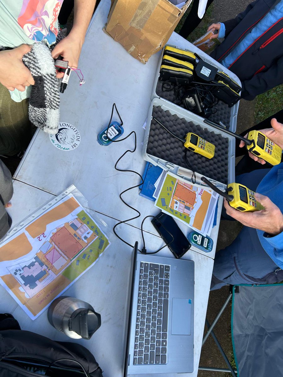 DSDEN de Haute Corse tweet media