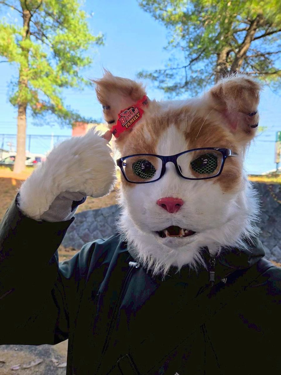 abecchifc178's tweet image. おまけその４
#岩手県営運動公園 内では綺麗な紅葉している場所がありましたニャ🍁✨
※現在、熊目撃情報があった為安全が確認されるまで閉鎖中⚠️

それを後ろから撮られてましたニャ😹w
どうやら紅葉より耳に着けていた #ブルズファミリー の証ラバーバンドが気になったようでした😹w