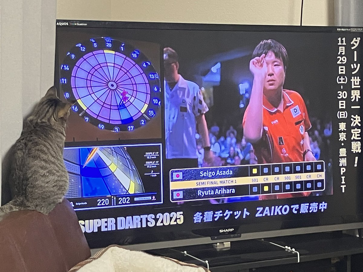 ryomaesuke's tweet photo. SUPERDARTSめっちゃ観るやん…🐱 https://t.co/pn2A4Uhfhm