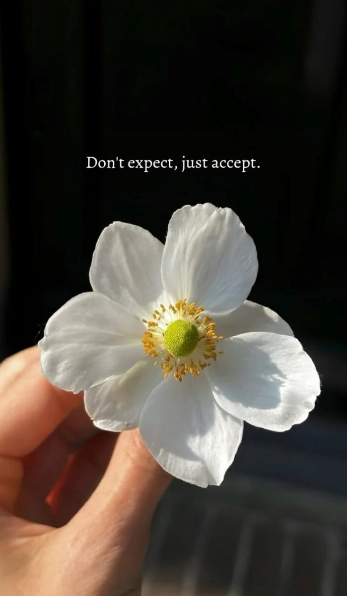 saleem_nid89620's tweet image. DON'T EXCEPT, JUST ACCEPT...✨✨
#PeacefulMind
#LowExpectations
#LifeLessons
#StayCalm
#EmotionalWisdom