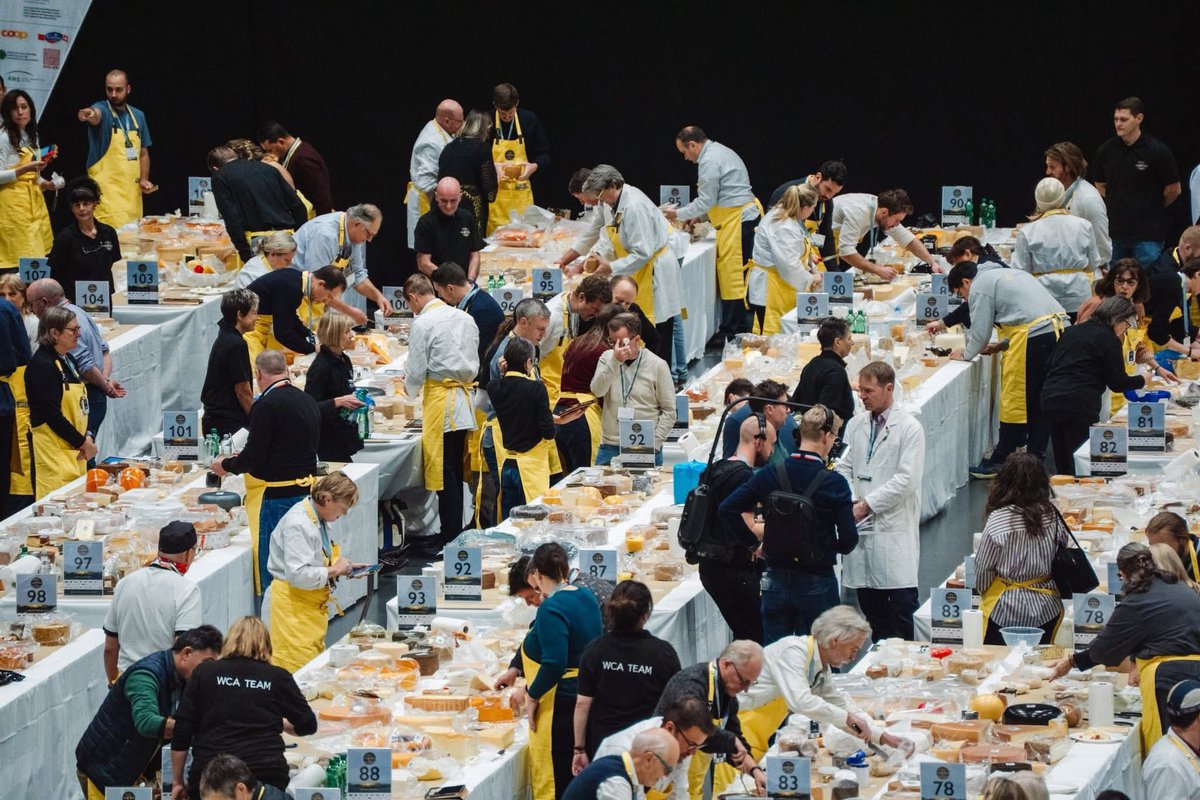 ÉXITO DE CREMOSITOS DEL ZUJAR EN EL  — WORLD CHEESE AWARDS 2025 (BERNA) 

Oro / Cremositos del Zújar MINI
Plata / Cremositos del Zújar
Plata / Cremositos del Zújar “TORTA GIGANTE”
Plata / Cremositos del Zújar “AHUMADO EN FRÍO”
Plata / EXTTREME 10 DOP “Queso de La Serena”
