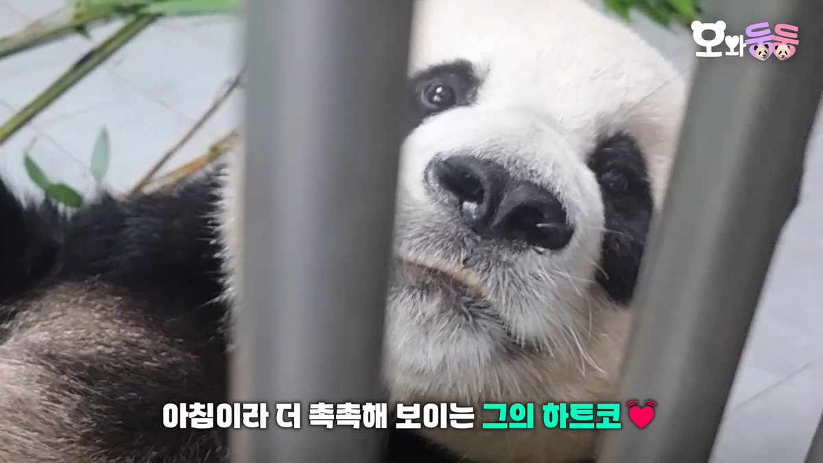 바오 (𝐁𝐚𝐎) (@baro_oneul) on Twitter photo 