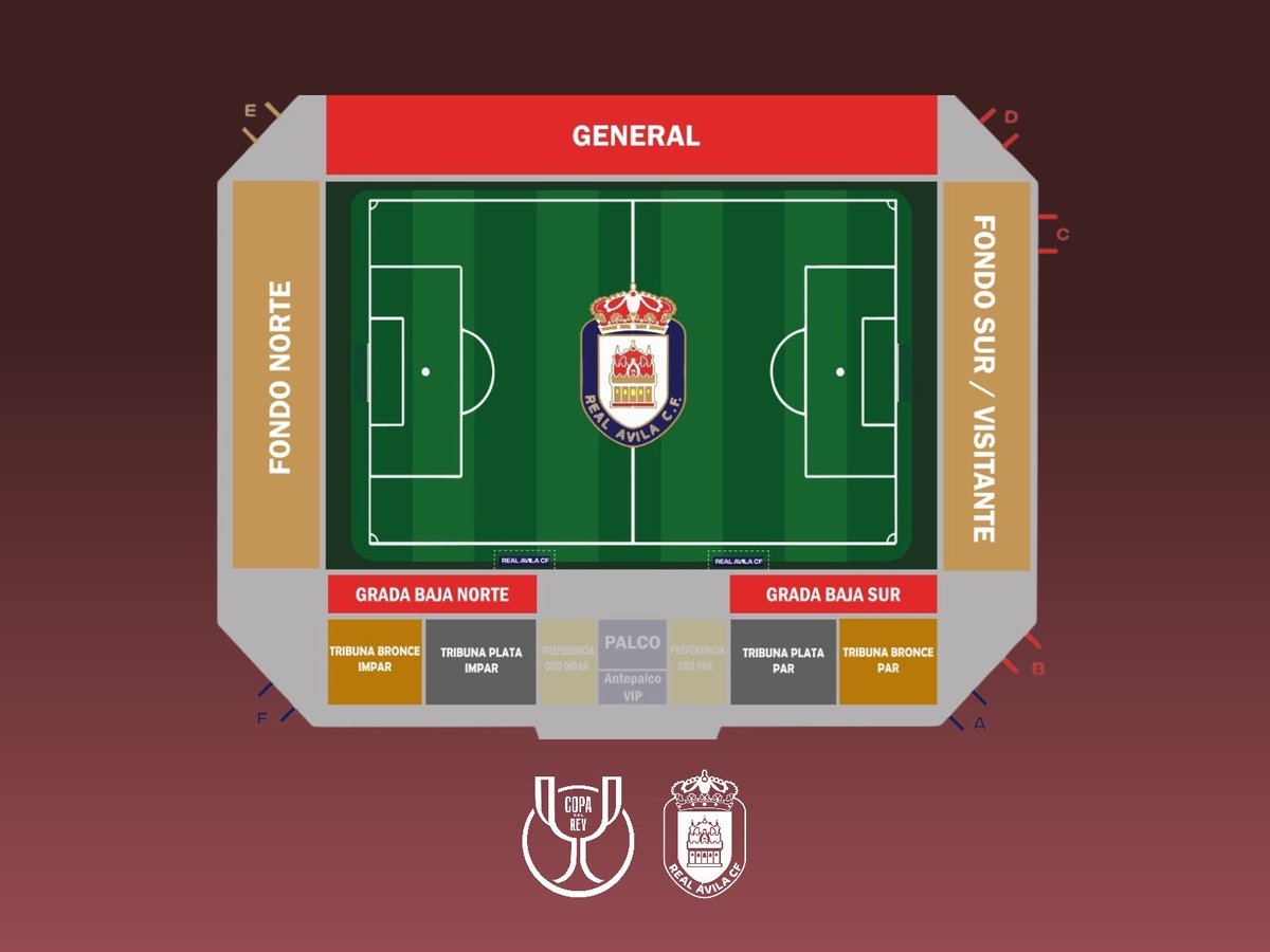 🏟️ Mapa del estadio con las zonas delimitadas ⬇️