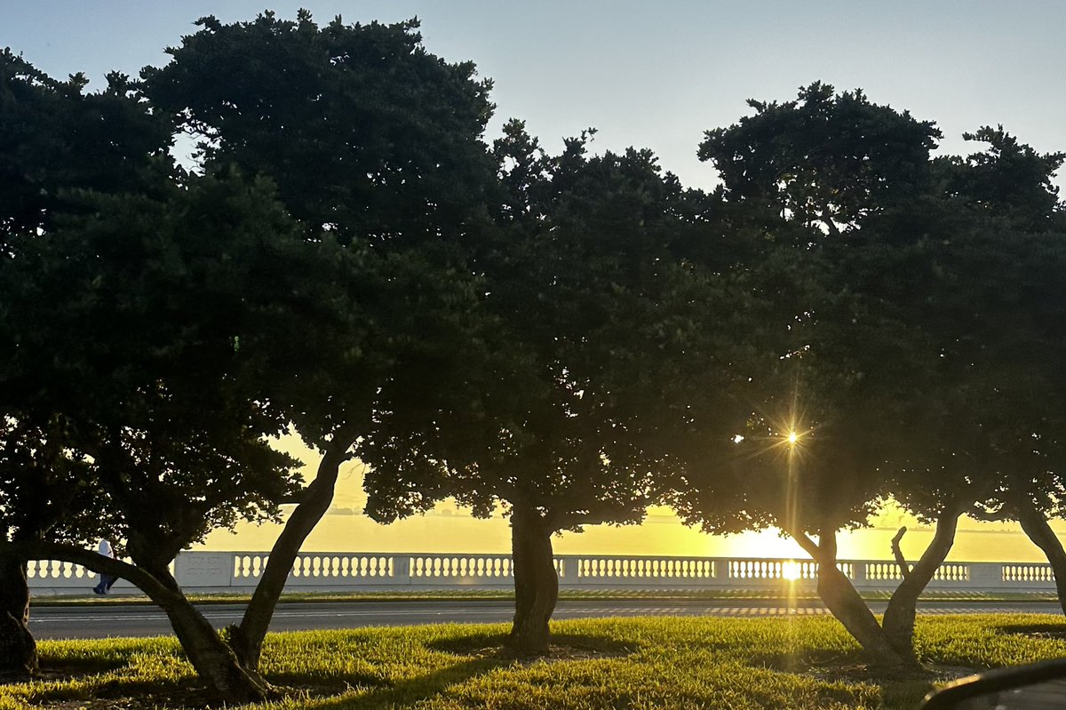Good morning Tampa Bay 🌞💛🧡🩷