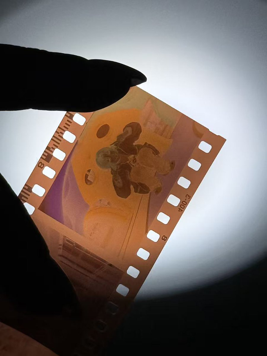 The charm of film photography🎞️💕
🐱🦁