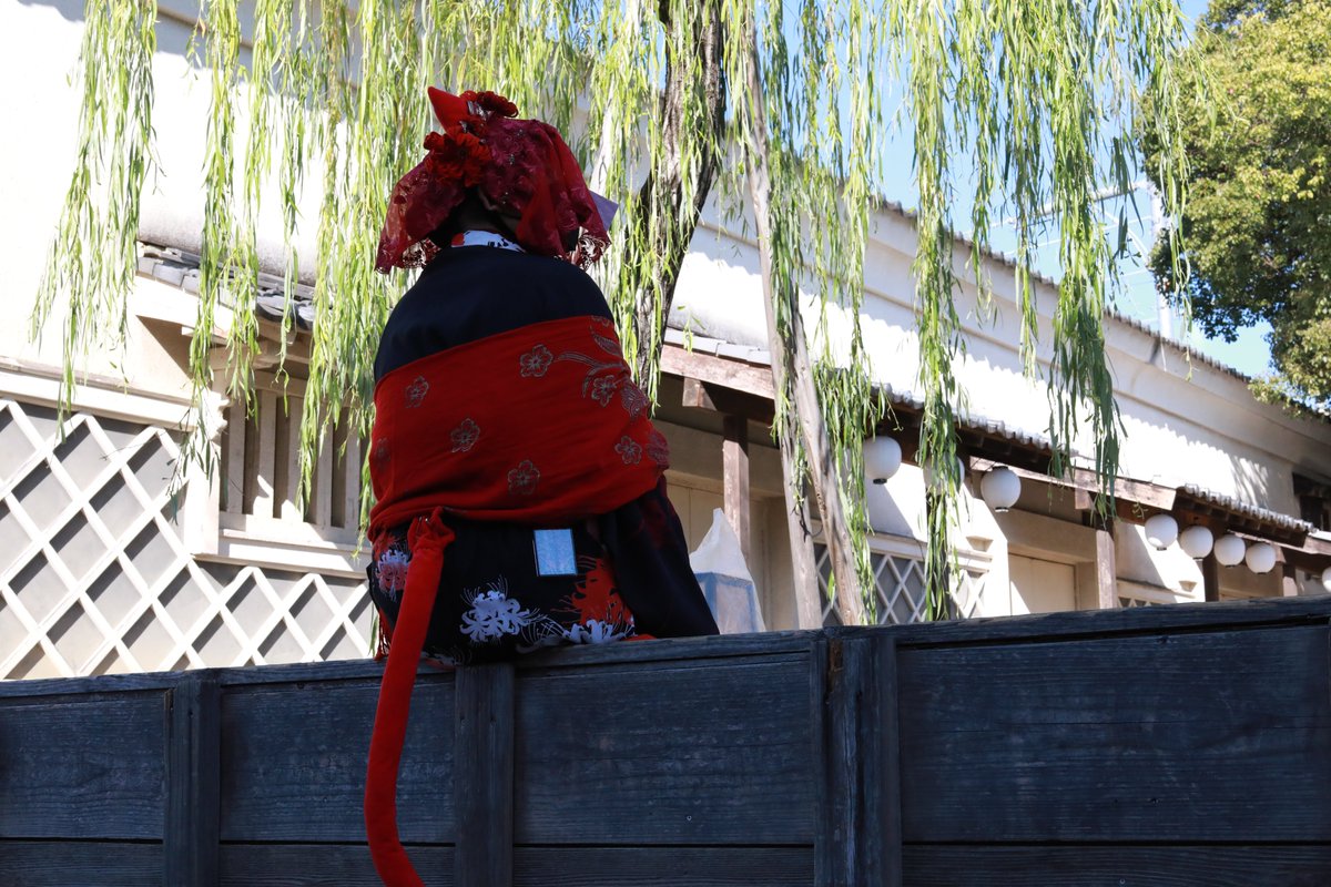 お写真その二。釣りをする猫