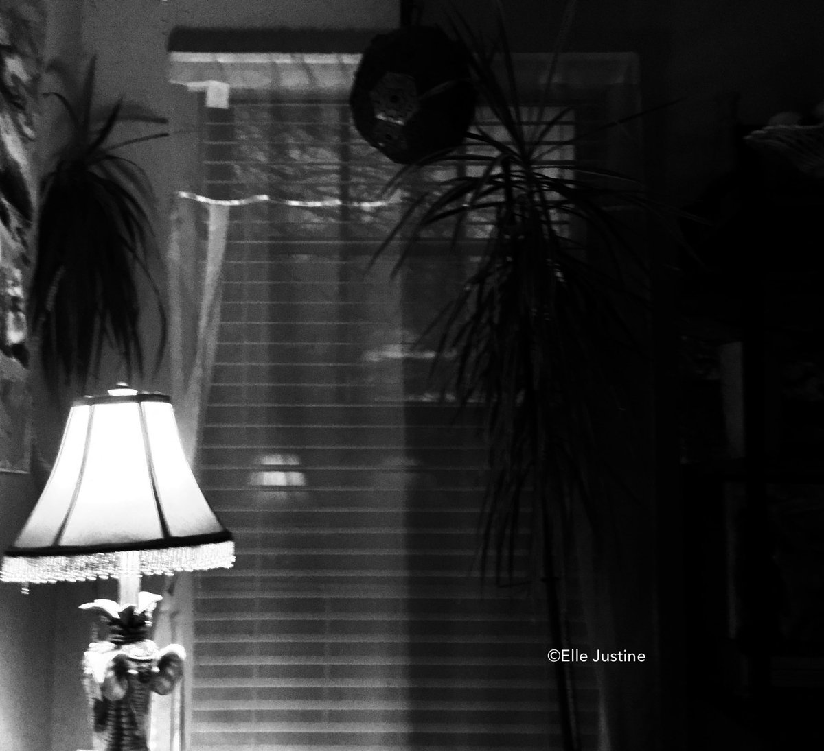 the
quiet 
beauty..

of a small lamp
in a dark corner…